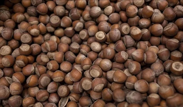 19 Nisan 2026 Pazar fındık fiyatları ne kadar? Bugün fındık fiyatları ne kadar?