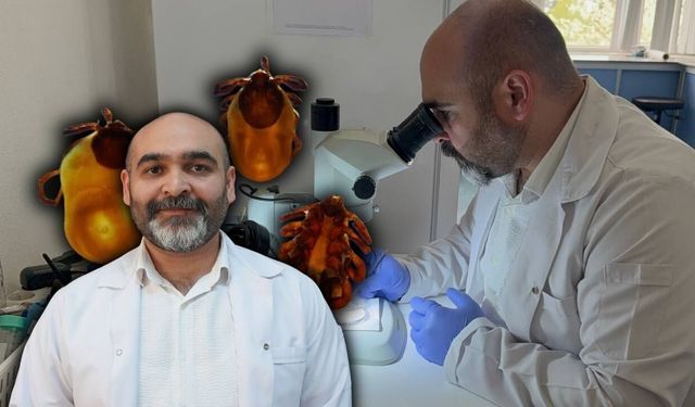 Kış bitti kene tehlikesi bitmedi