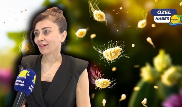 Yaz geliyor ama alerji bitmiyor! "Polen alerjisi cilt rahatsızlıklarını da tetikliyor"