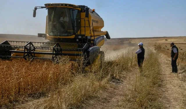 Kimlik sonu 0 2 4 6 8 olanlar dikkat: ödemeler hesaplara yatırıldı
