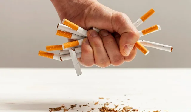 Türkiye'de sigara kullanımı en yüksek iller belli oldu!