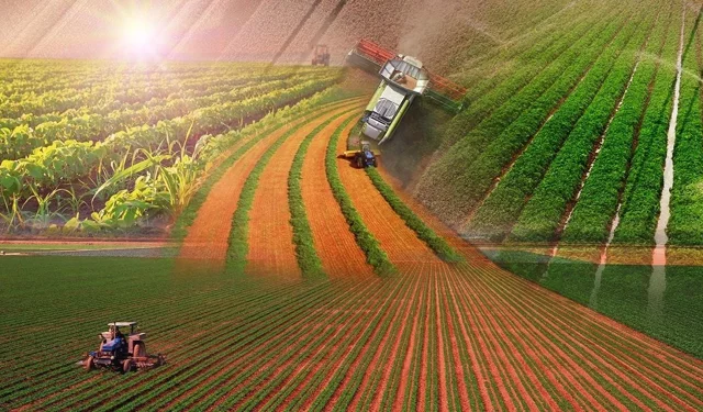 Türkiye'de tarımın en yoğun olduğu iller açıklandı!