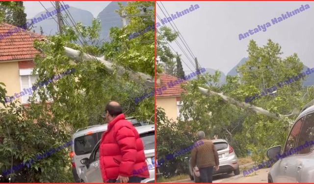 Antalya’da fırtına ağaç devirdi, elektrik kesintisi yaşandı!