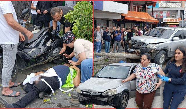 Antalya'da ağacı devirdi işçiyi ezdi: Feci kaza anı kamerada!