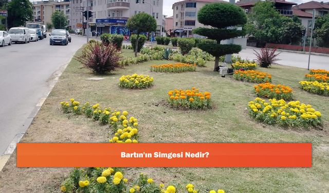 Bartın'ın Simgesi Nedir?