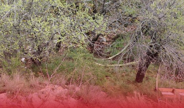 Isparta’da yüksekten düşen kadın hayatını kaybetti!