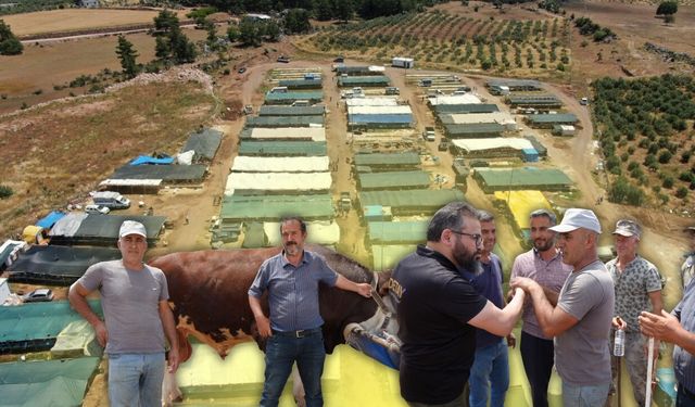 Antalya’da kurban pazarında büyük pazarlık!