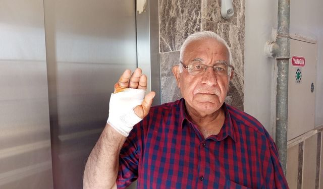 Komşusunun parmağını ısırarak koparan şahıs serbest bırakıldı!
