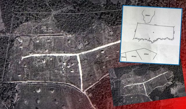 Antalya'da kamu personeli ormanı bölüştü: Mahkeme 'dur' dedi!