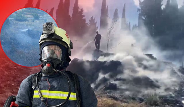 Antalya'da otluk alanda yangın çıktı!