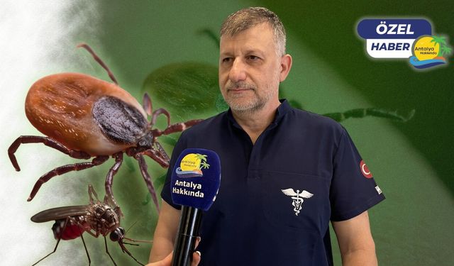 Antalya'da kene ve sivrisinek alarmı! "Artık çok geç, uçtuktan sonra işe yaramıyor!"