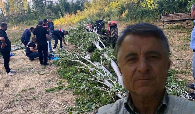 Isparta'da feci ölüm: Kestiği ağacın altında can verdi!