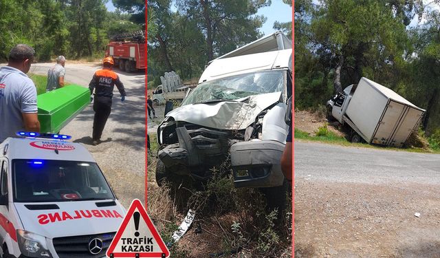 Antalya'da kamyonet ağaca çarptı: Sürücü hayatını kaybetti, 1 kişi ağır yaralandı