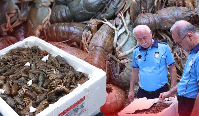 Antalya Otobüs Terminali'nde şüpheli koli: 90 kilogram ele geçirildi!