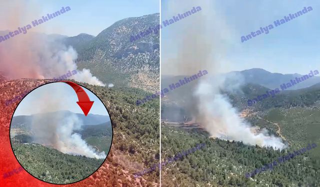 Antalya'da orman yangını! Havadan ve karadan müdahale ediliyor!