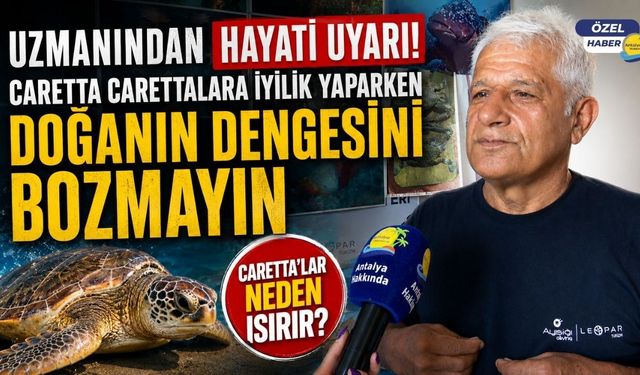 Doğru Bilinen Yanlışlar: Caretta Carettalara Yaklaşmak, Fotoğraf Çekmek ve Işık Tutmak Büyük Tehlike