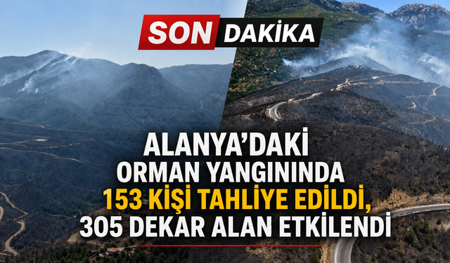Alanya'daki orman yangınında 153 kişi tahliye edildi, 305 dekar alan etkilendi
