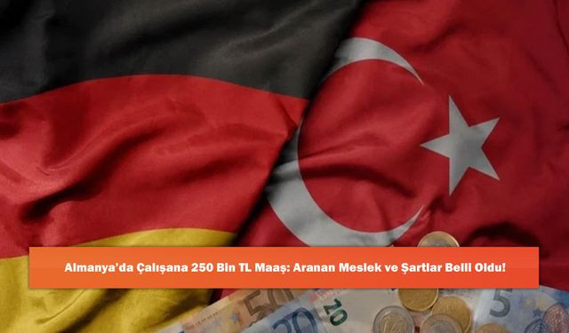 Almanya’da Çalışana 250 Bin TL Maaş: Aranan Meslek ve Şartlar Belli Oldu!