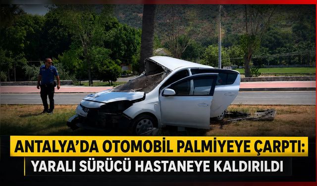 Antalya'da otomobil palmiyeye çarptı: Yaralanan sürücü hastaneye kaldırıldı