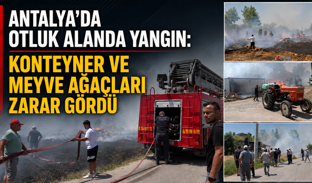 Antalya'da otluk alanda yangın: Konteyner ve meyve ağaçları zarar gördü