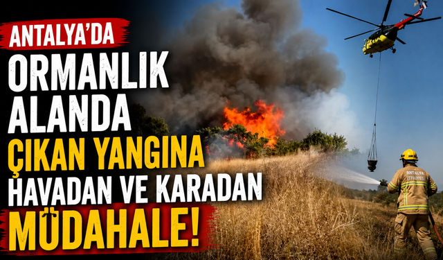 Antalya'da ormanlık alanda çıkan yangına havadan ve karadan müdahale!