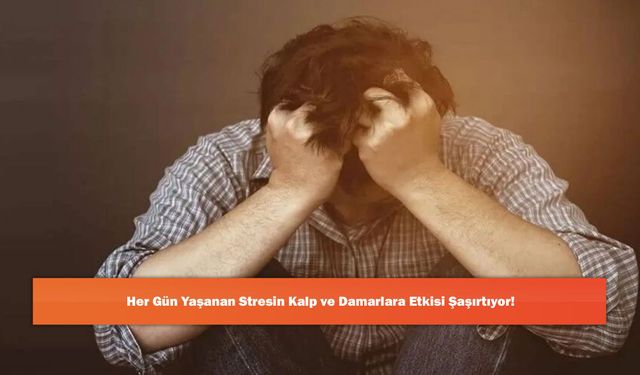 Her Gün Yaşanan Stresin Kalp ve Damarlara Etkisi Şaşırtıyor!