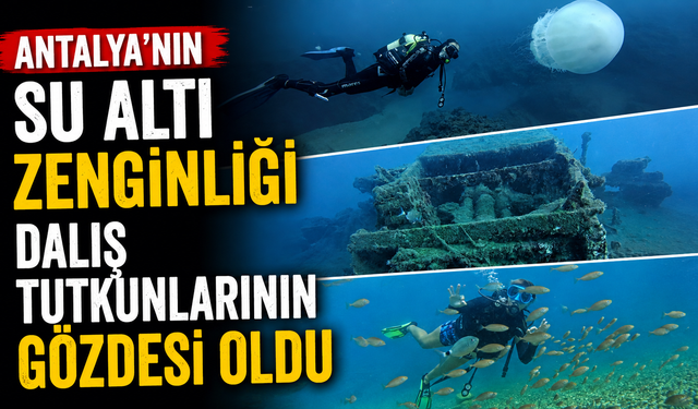 Antalya’nın su altı zenginliği dalış tutkunlarının gözdesi oldu