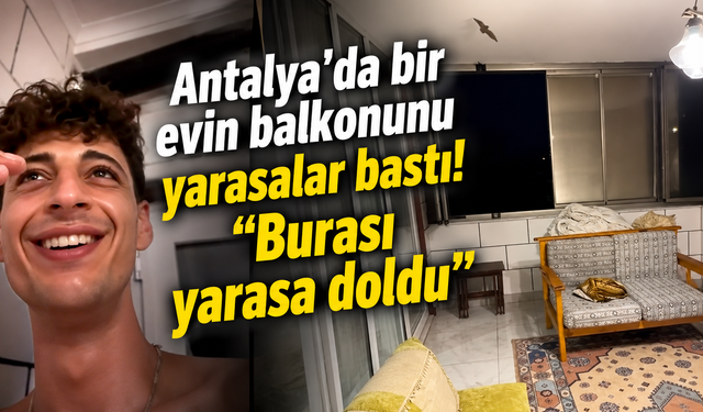 Antalya'da bir evin balkonunu yarasalar bastı! "Burası yarasa doldu"