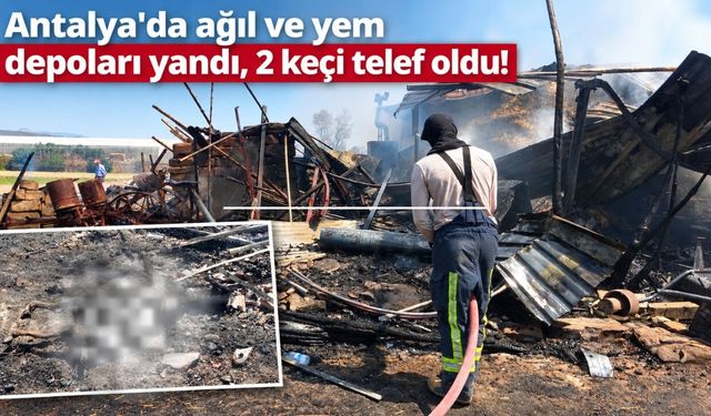 Antalya'da ağıl ve yem depoları yandı, 2 keçi telef oldu!
