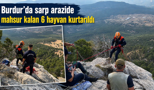 Burdur’da sarp arazide mahsur kalan 6 hayvan kurtarıldı