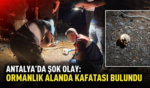 Antalya'da şok olay: Ormanlık alanda kafatası bulundu