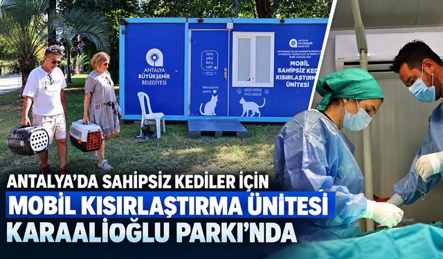 Antalya’da sahipsiz kediler için mobil kısırlaştırma ünitesi Karaalioğlu Parkı’nda