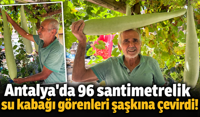 Antalya'da 96 santimetrelik su kabağı görenleri şaşkına çevirdi!