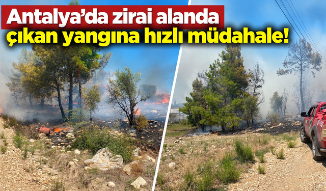 Antalya’da zirai alanda çıkan yangına hızlı müdahale!