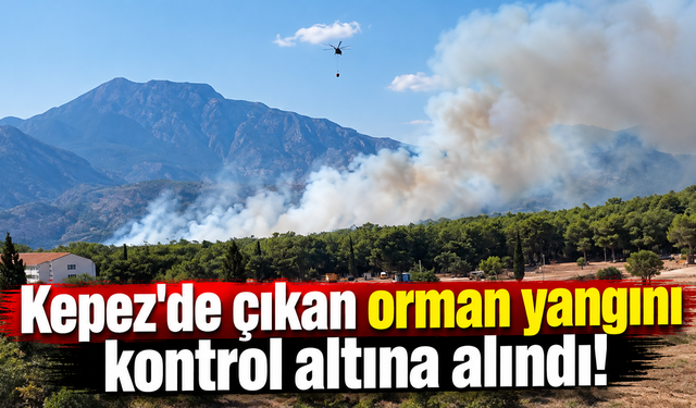 Kepez'de çıkan orman yangını kontrol altına alındı!