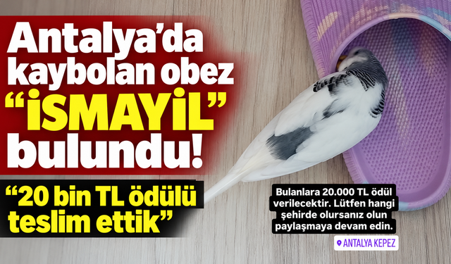 Antalya'da kaybolan obez "İsmayil" bulundu! "20 bin TL ödülü teslim ettik"