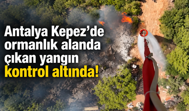 Antalya Kepez'de ormanlık alanda çıkan yangın kontrol altında!