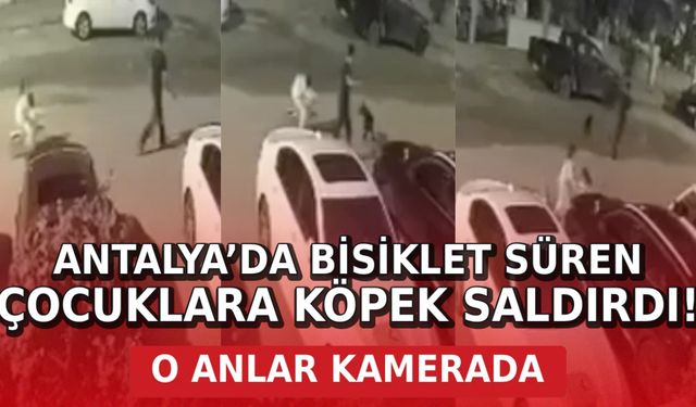 Antalya’da bisiklet süren çocuklara köpek saldırdı: O anlar kamerada