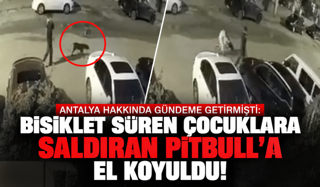 Antalya Hakkında gündeme getirmişti: Bisiklet süren çocuklara saldıran Pitbull'a el koyuldu!