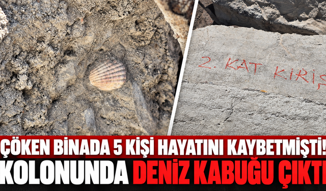 Çöken binada 5 kişi hayatını kaybetmişti! Kolonunda deniz kabuğu çıktı