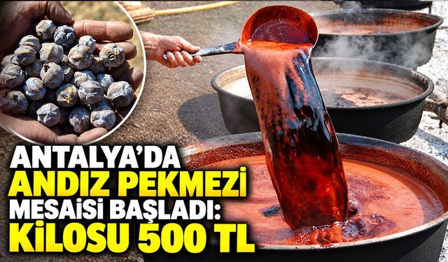 Antalya’da andız pekmezi mesaisi başladı: Kilosu 500 TL