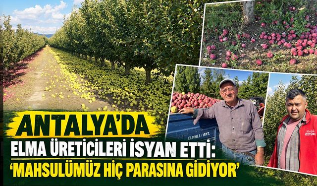 Antalya’da elma üreticileri isyan etti: "Mahsulümüz hiç parasına gidiyor”