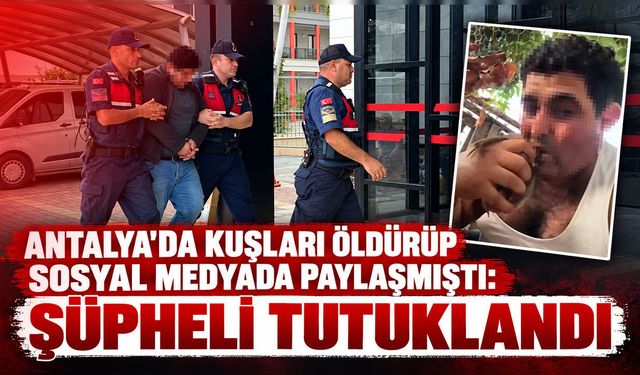Antalya'da kuşları öldürüp sosyal medyada paylaşmıştı: Şüpheli tutuklandı