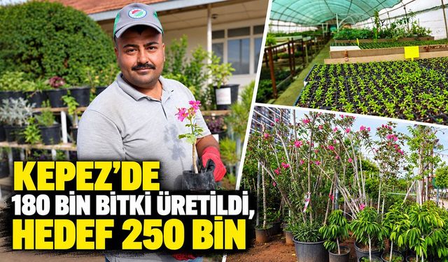 Antalya'nın Kepez ilçesinde 180 bin bitki üretildi, hedef 250 bin
