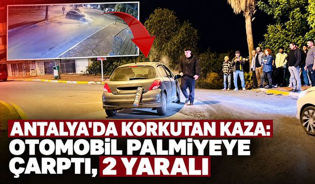 Antalya'da korkutan kaza: Otomobil palmiyeye çarptı, 2 yaralı