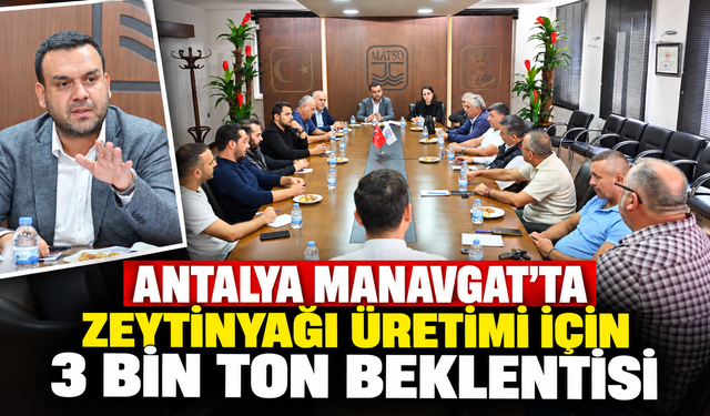 Antalya Manavgat’ta zeytinyağı üretimi için 3 bin ton beklentisi