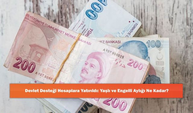 Devlet Desteği Hesaplara Yatırıldı: Yaşlı ve Engelli Aylığı Ne Kadar?