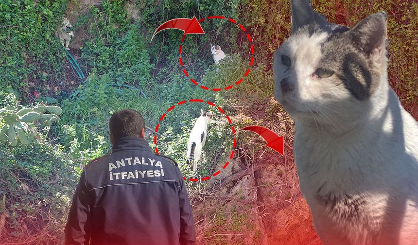 Antalya'da “Mahsur kaldılar” ihbarı korkuttu!