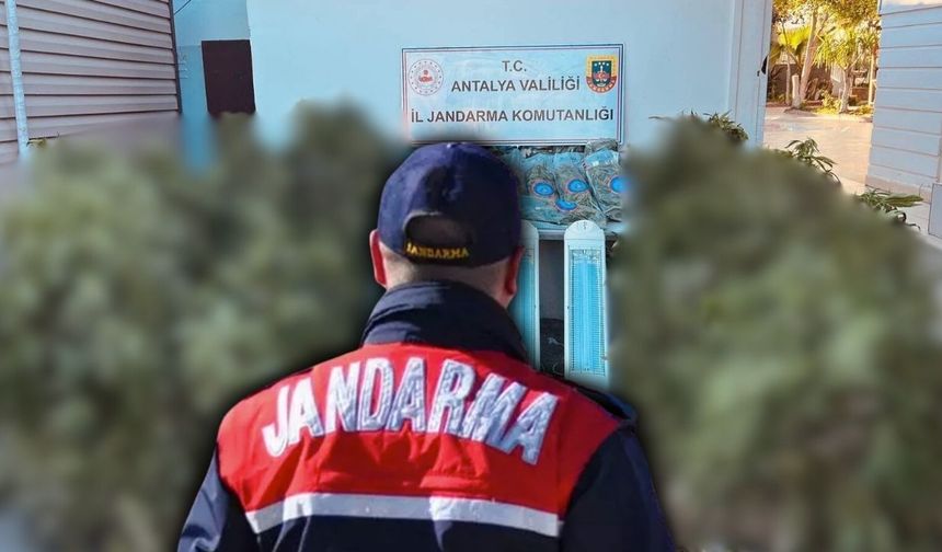 Antalya'da Jandarmadan baskın! Kilolarca ele geçirildi