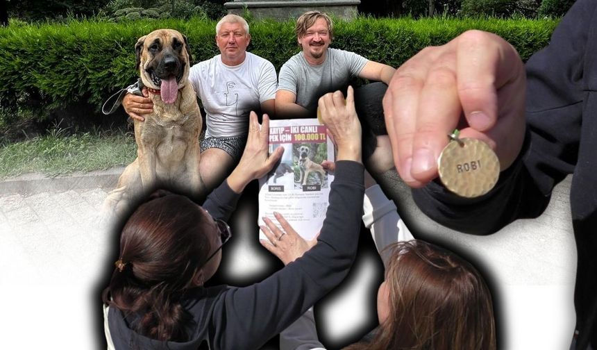 Antalya'da kaybolan Rubi ve Boris için 100 bin liralık umut